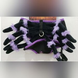 Halloween Spider Pet Costume - Black and Purple